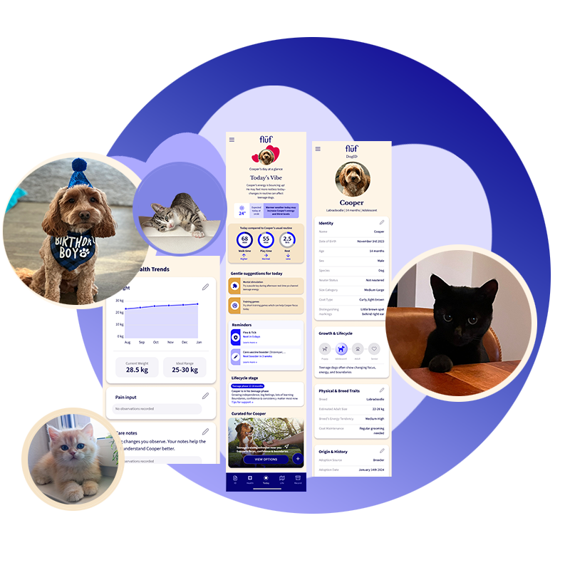 flüf product composition showing the app screens alongside photos of pets